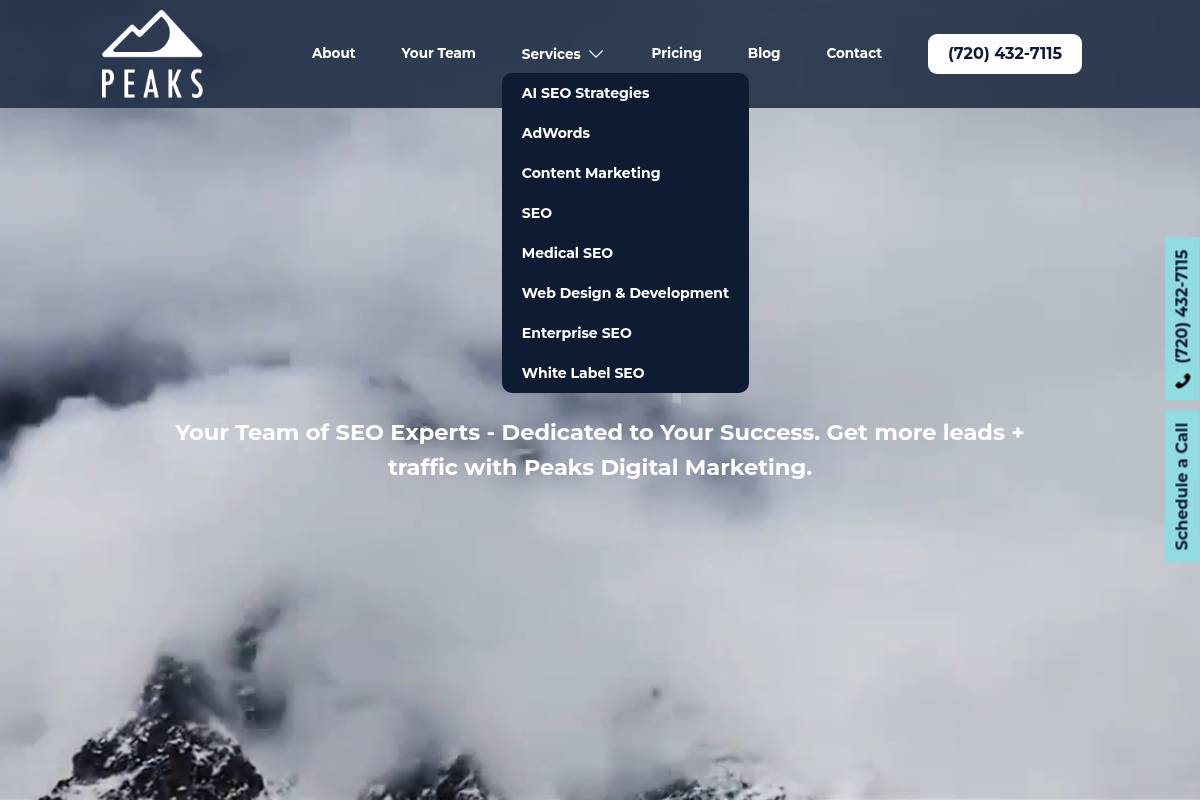 10. Peaks Digital Marketing: Best for Medical and Enterprise Lead-Gen SEO