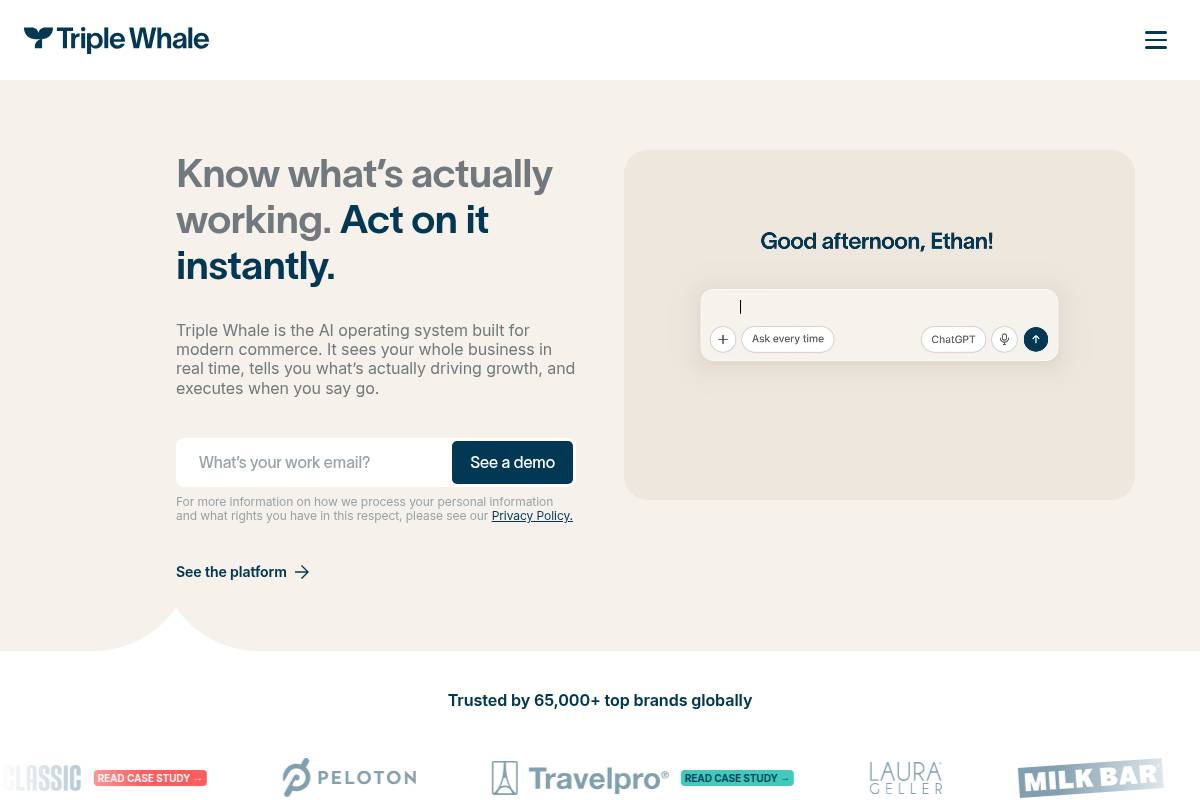 3. Triple Whale: Best for Ecommerce Analytics and Attribution