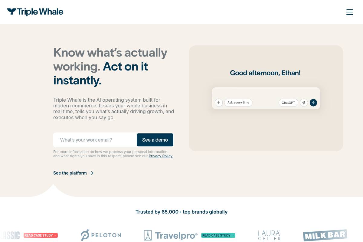 4. Triple Whale: Best for Ecommerce Analytics and Attribution on Shopify