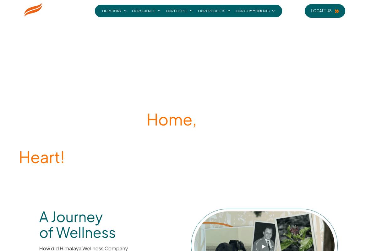 5. Himalaya Wellness: Best for Budget-Friendly Ayurvedic Women's Formulas