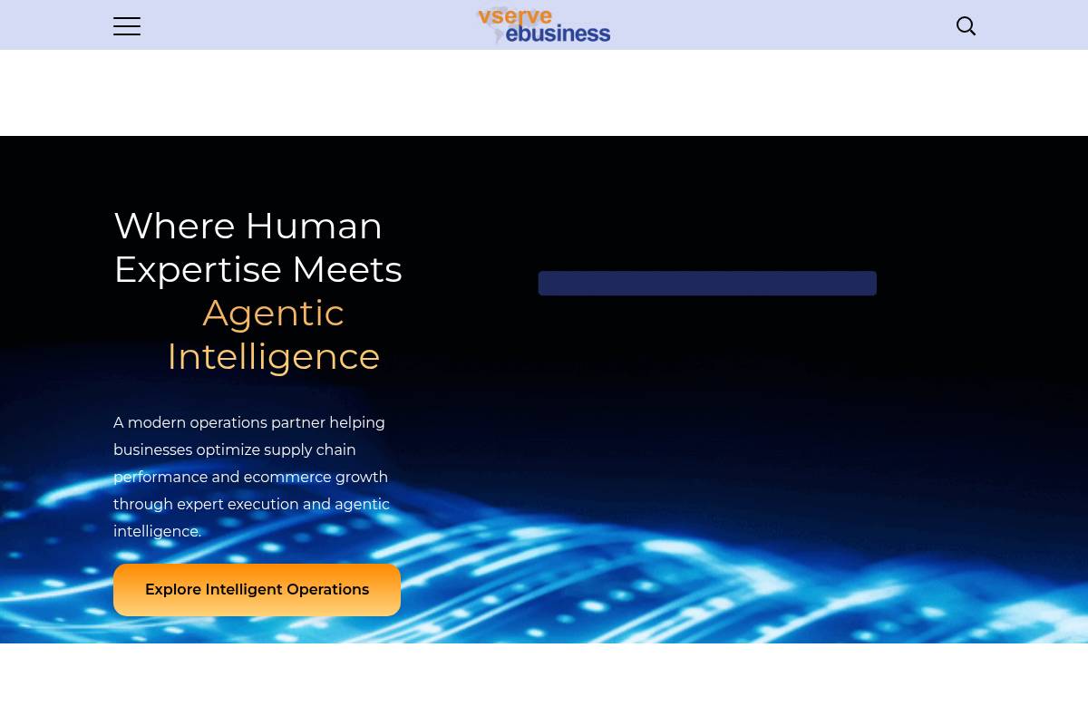 5. Vserve Ebusiness Solutions: Best for Marketplace and Catalog Operations