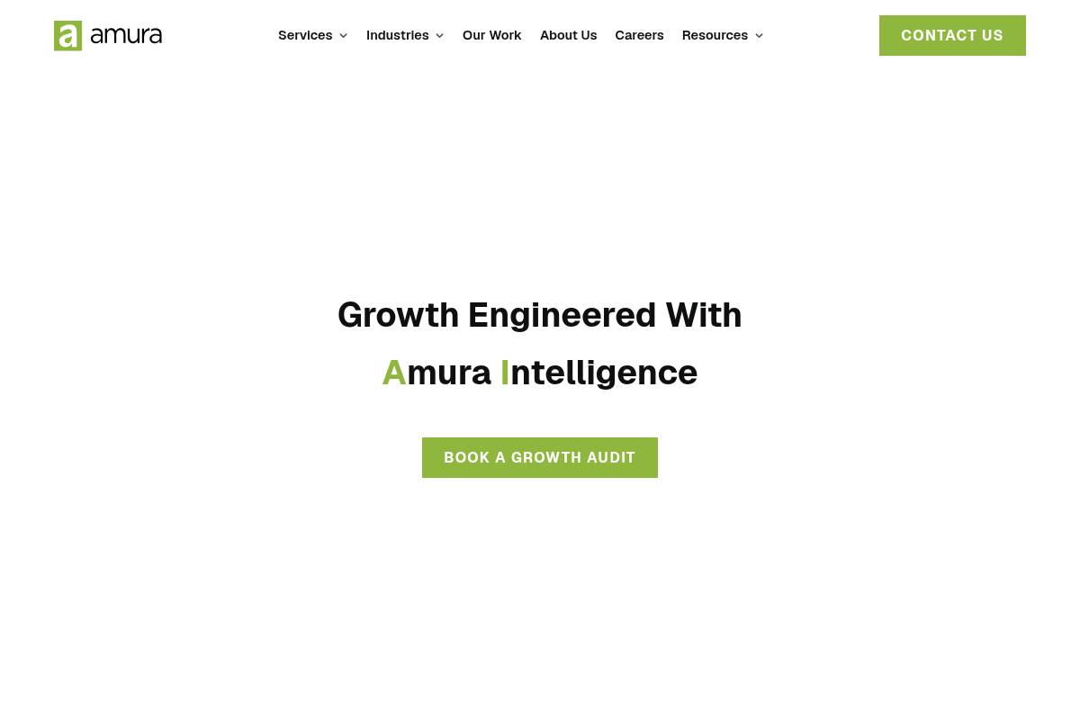 7. Amura Marketing Technologies: Best for Full-Funnel Growth Marketing