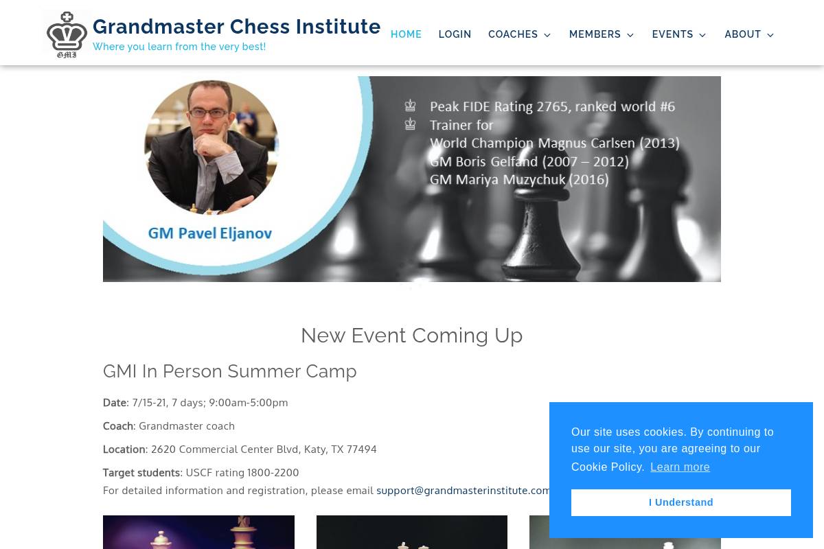 7. Grandmaster Chess Institute (GMI): Best for Budget Daily Live GM Classes