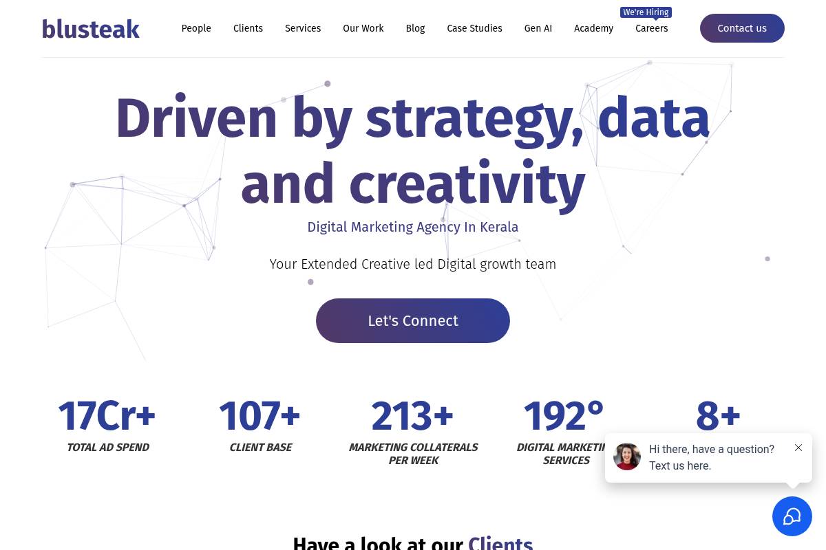8. Blusteak: Best for Listing Optimization Plus Performance Ads