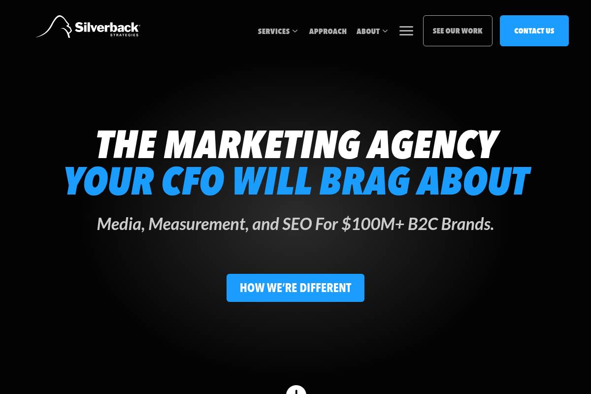 8. Silverback Strategies: Best for Full-Funnel Performance Marketing