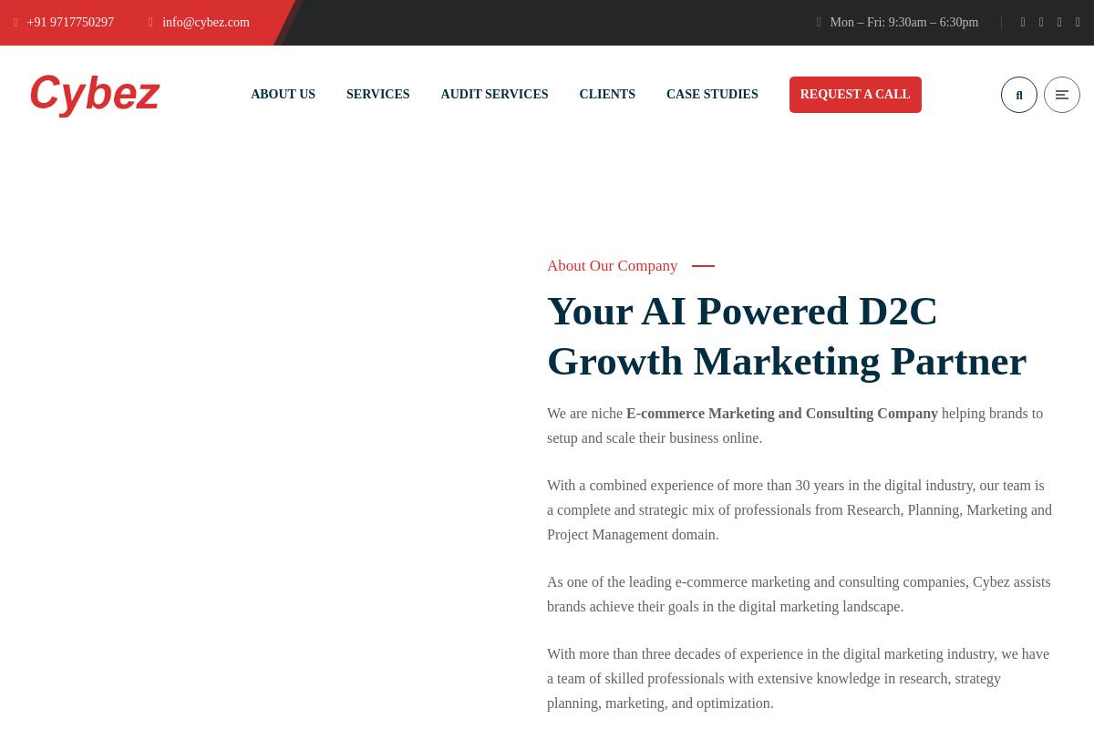 Cybez: Best for Multi-Marketplace Campaigns Plus Shopify Builds