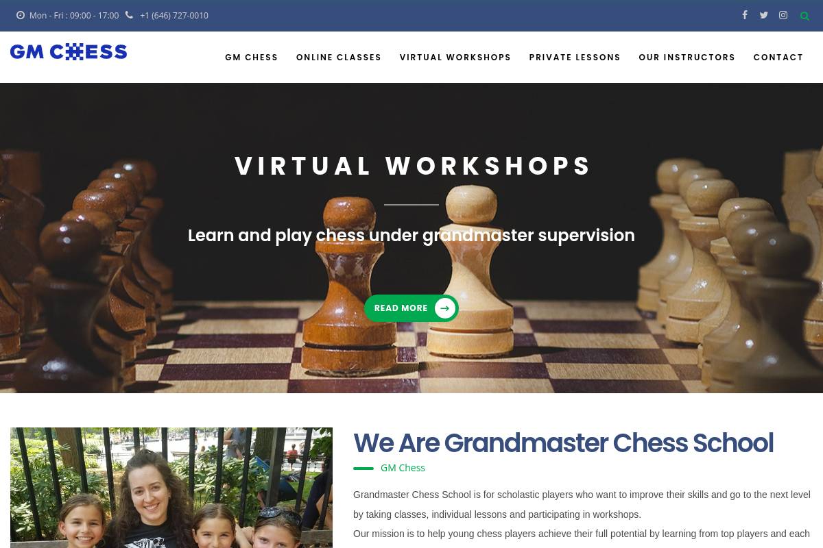 9. Grandmaster Chess School (GM Krush) — Best for Scholastic Excellence