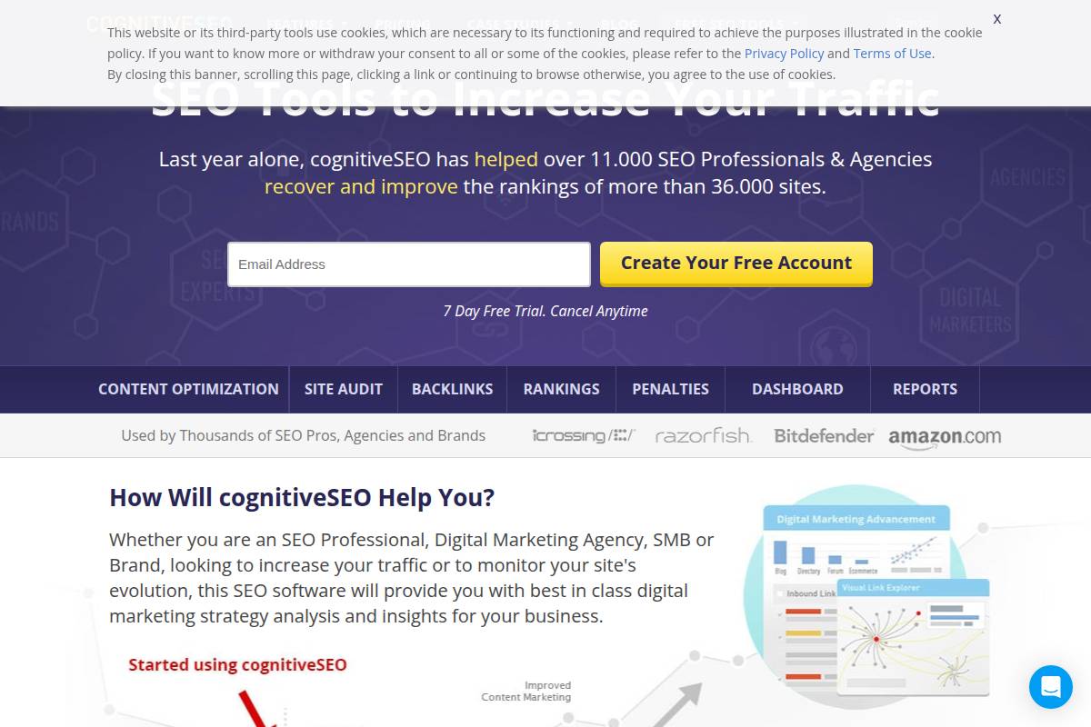 CognitiveSEO